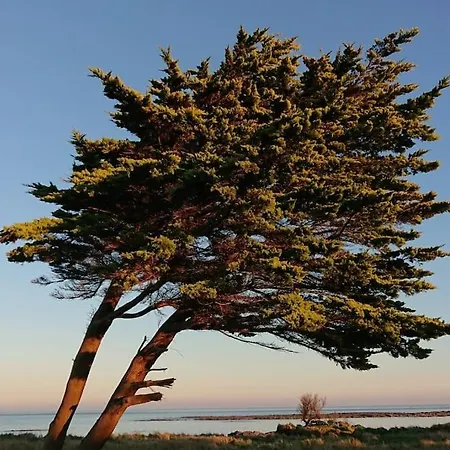 Apartament Appartementde Charme En Duplex Face Au Port De *