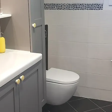 Appartementde Charme En Duplex Face Au Port De *