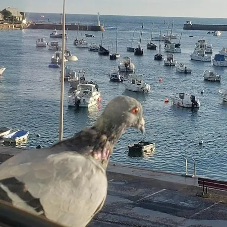 De Charme En Duplex Face Au Port De Lägenhet Barfleur