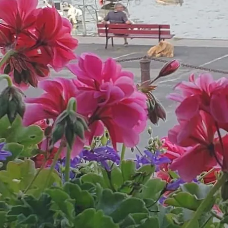 Appartementde Charme En Duplex Face Au Port De ברפלר