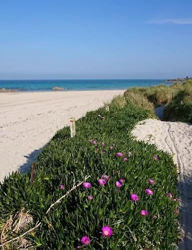 Appartementde Charme En Duplex Face Au Port De 아파트 *