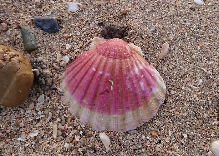 Appartementde Charme En Duplex Face Au Port De * 바르플뢰르