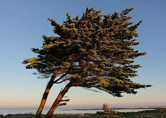 Apartment Appartementde Charme En Duplex Face Au Port De *