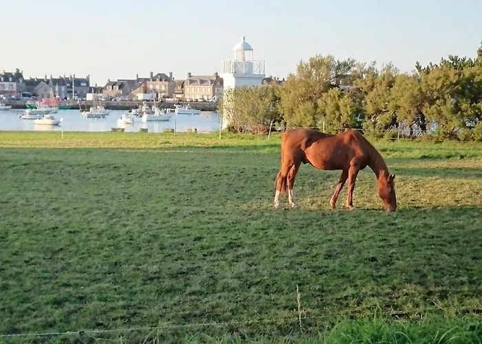 Appartementde Charme En Duplex Face Au Port De 아파트 바르플뢰르