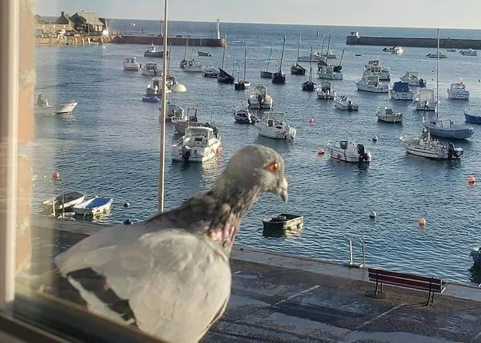 Appartementde Charme En Duplex Face Au Port De 아파트 바르플뢰르