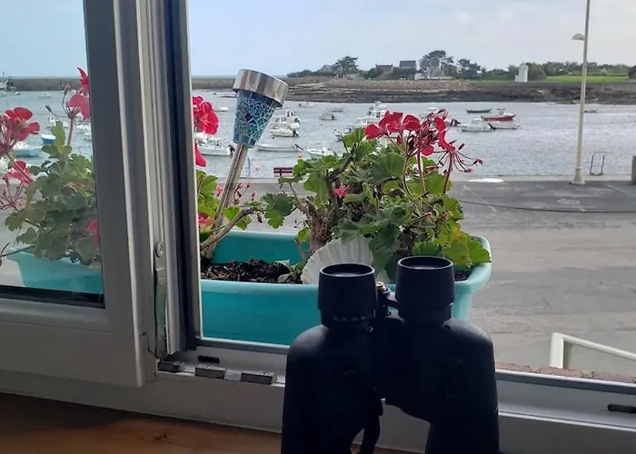 Appartementde Charme En Duplex Face Au Port De 아파트 *