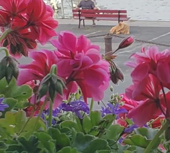 Appartementde Charme En Duplex Face Au Port De 바르플뢰르